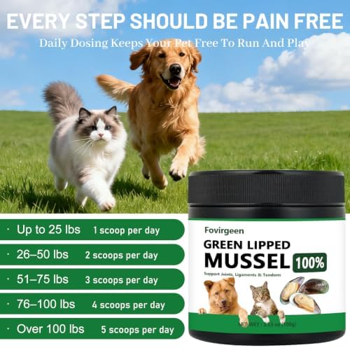 forvirgeen 2 Pack Green lipped Mussels for Dogs Hip & Joint Care - 3