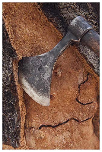 Artworks Italia Corteza de corcho de roble cosechada para corchos de vino y otros productos, San Vicente de Alcántara, Extremadura, España-Papel Art-106.7 cmx157.5 cm