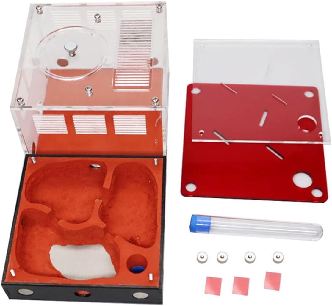 YKLL Ant Farm Unlimited Expansion Ant Farm Acrylic Ant Nest Concrete Ant House Insect Castle Workshop Educational Habitat Pet Anthill Feeding Box Birthday Present Gift (Color : The Whole ant Farm)