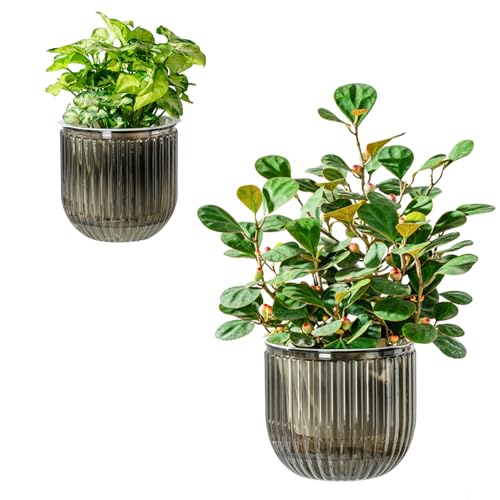 Josteve Self Watering Plant Pots Indoor, 16.5/13.5cm 2 Pack Plastic Flower Pots Orchid Garden Planters Outdoor for Herb, House Plant, African Violets, Visible Water Level Planter w/Drainage Holes