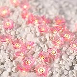 HuTools Cherry Blossom Flower String Lights Fairy Pink Dorm Lights 10ft 30 LEDs Battery Powered Decoration Lights for Curtain, Wedding,Birthday Party, Girl's Bedroom