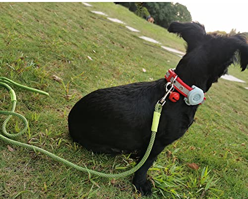 Yucforen 7Ft Small Dog Leash Lightweight Cat Leash For Little Pets/Puppy/Small Animals/Extra Small Dogs Durable Nylon Walking Training Leash #TOP5