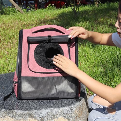 Bolsas de viaje para perros pequeños que evitan el cansancio al salir 6