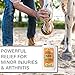 Absorbine Veterinary Liniment Gel, Topical Menthol Analgesic Rub for Sore Muscle, Joint & Arthritis Pain Relief, 12oz Bottle 2-Pack