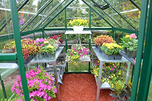 Palram Canopia Harmony 6X8 Green Greenhouse - Clear Polycarbonate, Aluminum Frame, Base Included #TOP5