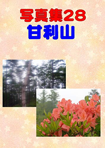 Photo Collection Amari mountain (Japanese Edition)