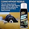 Fuller Brush Upholstery Cleaner Foaming Multi-Surface Spray for Fabric, Carpet, Vinyl & Car Seats Removes Stains & Odors Without Residue Restores & Refreshes 22 oz (Pack of 1)