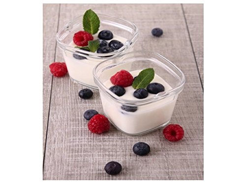 Kefir Fermenter (1.5L/50Oz) #TOP4