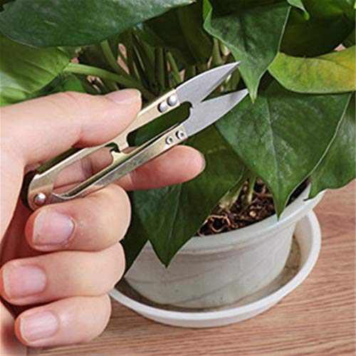 Suculenta garrafa de água,Sailsbury 30 PCS Ferramentas de Plantas Suculentas Conjunto de Mini Jardim