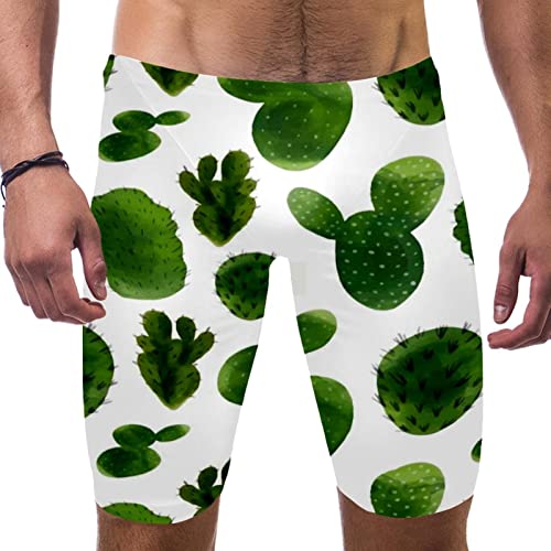 Bañador de entrenamiento DAPHL verde cactus ideal para piscina y playa