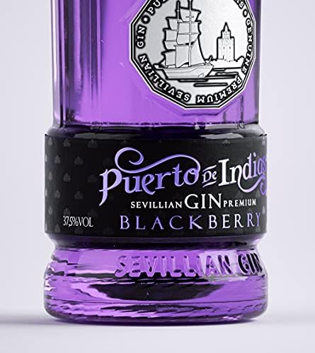 Gin Puerto de Indias - Blackberry Premium Gin - with Natural Blackberries - 70cl - 37.5%
