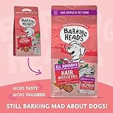 Barking Heads Complete Trockenfutter für Hunde, 2kg, für Erwachsene, All Hounder Hair Necessities, Lachs, natürlich, getreidefrei, hypoallergen für Haut und Fell, tierärztlich zugelassen