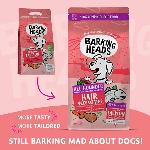 Best Dog Food For Dry Flaky Skin Life My Dog