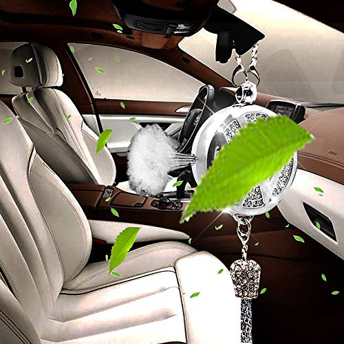 VILLSION Ambientadores para Coche Colgante Olor Fragancia Difusor Coche Perfume Ambientadores Accessories