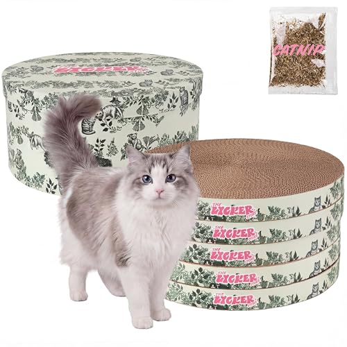 THE LICKER Store CSR1012J Kate 12�C���` �i�{�[���L�X�N���b�`���[�p�b�h �{�b�N�X&�L���b�g�j�b�v�t�� ���o�[�V�u�����ϋv�X�N���b�`�{�[�h �L �Ƌ�ی� ���R�L�� �O���[�� 5�p�b�N
