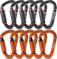 RIGINADO – Karabiner Klettern Kletterausrüstung,10 Stück UIAA-Zertifizi