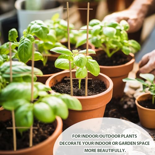 Save 20% on a 3-Pack of Natural Bamboo Plant Trellises - Image 7