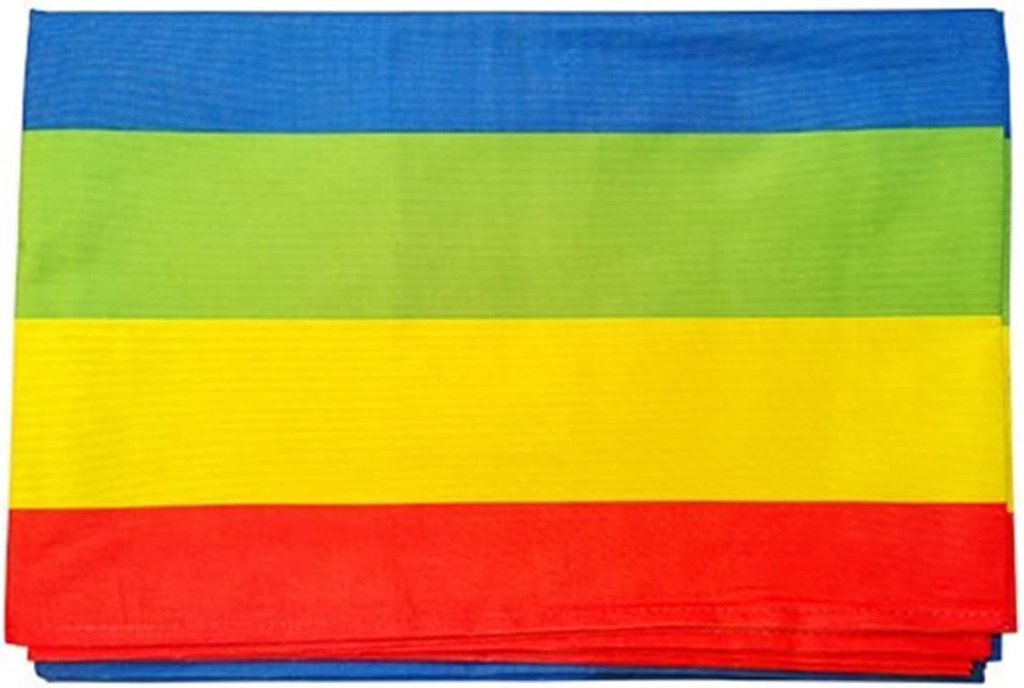Playing Run Mat Company Team Building Game Props, Children's Adult Game Toys, Kindergarten Fun Games, Home Backyard Lawn Party Game Toys, Exercise Balance Ability (Size : Kids/6m)