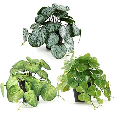 ALAGIRLS Small Fake Plants Set of 3 - Faux Plant Artificial in Pots for Home Decor Indoor, Fake Desk Plants Mini Potted Artificial Plants for Office Home Shelf Living Room Decoration - Set A Cover