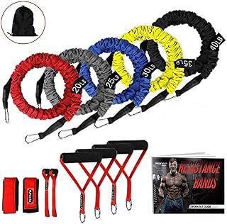 Resistance Bands, 15 Pieces Exercise Elastic Bands Set, 20lbs To 40lbs Resistance Tubes