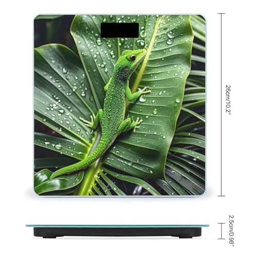 Báscula digital Gecko con hojas tropicales vidrio templado miniatura 2