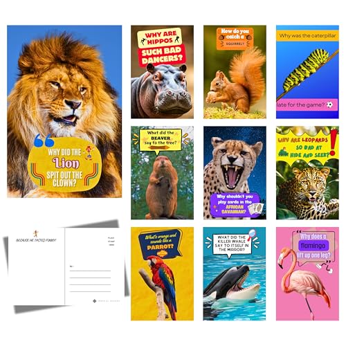 Imperial Designs 50 Animal Joke Postcards, No Repeats (4'x6'), Say I Miss You, Hello, Thank You,...