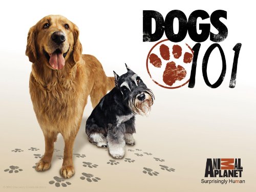 Dogs 101 Season 2