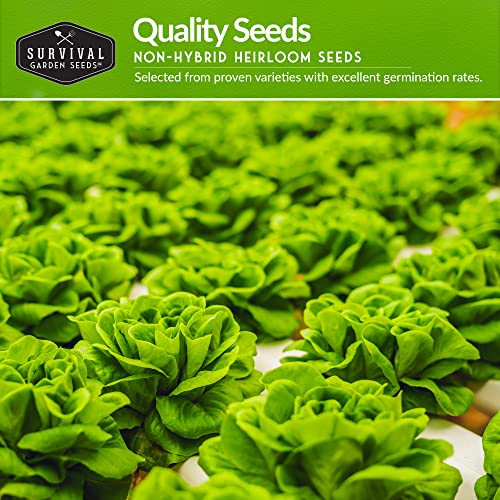 Hydroponics Vegetable Seed Collection for Planting - Watercress, Spinach, Siberian Kale, Swiss Chard, Buttercrunch, Oakleaf Lettuce Varieties to Grow Indoors Non-GMO Heirloom Survival Garden Seeds - Image 3