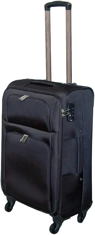 Aria Pro II TA-62C ソフトケース付き Aria Pro II TA-62C ソフト