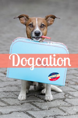vacations to take with your dog
