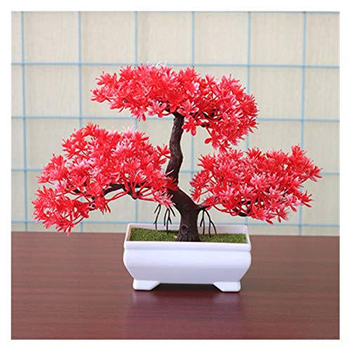 Plantes en pot Feng Shui pour oublier l'arrosage du bonsaï