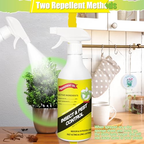 16 Oz Peppermint Oil Insect and Pest Control Spray to Repel Rats, Spiders, Ants, Bugs and More, Home Rodent Repellent Powerful Peppermint Ingredient Spray - Thumbnail 3