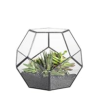 NCYP Handmade Blumentopf Transparentes fünfeckiges Dodekaeder Glas, Terrarium, auch für Sukkulenten, farblos, Schwarz (ohne Pflanzen)