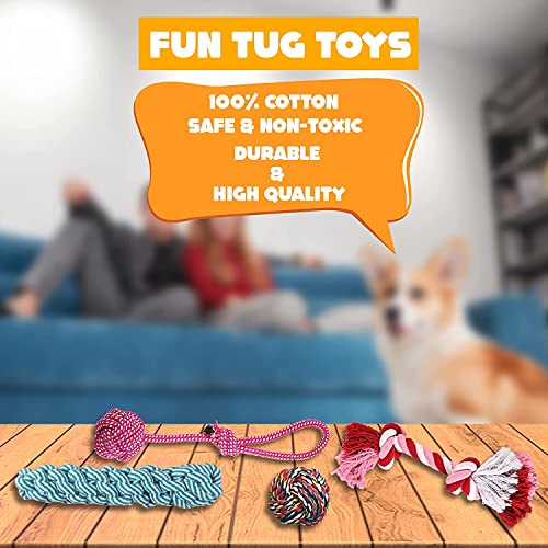 Puptastic Dog Toys | 15 Pieces Dog Toys Set | Dog Rubber Chew Toys, Rope Toys, Plush Toys, Squeaky Toys All-In-One Set | Toys For Teething | Dog Toys Pack For Small To Medium Dogs | Puppy Chew Toys #TOP5