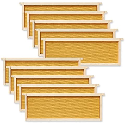 Honey Keeper 10 Assembled Beehive Frames with Waxed Natural Foundations for Beekeeping, 6-1/4 inch Cover