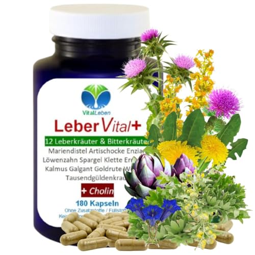 LEBER Vital Komplex Leberkapseln 180 Kapseln 12 Kräuter & Bitterstoffe mit Löwenzahn, Artischocke, Mariendistel + CHOLIN für normale LEBERFUNKTIONEN & FETTSTOFFWECHSEL. OHNE ZUSATZSTOFFE 26454-180