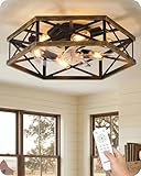 23' Farmhouse Flush Mount Ceiling Fan with Lights and Remote, Caged Low Profile Fandelier, 6 Lights Socket, 6 Speeds, Timer, Quite DC Motor, Bladeless Ceiling Fan, Black and Brushed Gold D03CF05