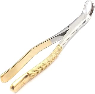 Precise Canada Premium Grade Gold Handle Dental 1st and 2nd Lower Molar Cow Horn Extracting Forceps #23