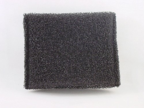 HOOVER STEAM VAC FILTER