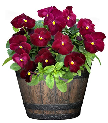 Classic Home And Garden Whiskey Resin Flower Pot Barrel Planter, Walnut Brown, 9" #TOP2