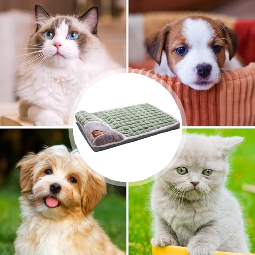 Coussin de cage pour chien lavable fini les mauvaises odeurs de tapis