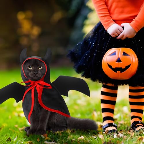 Disfraz Halloween para mascotas pequeño miniatura 6