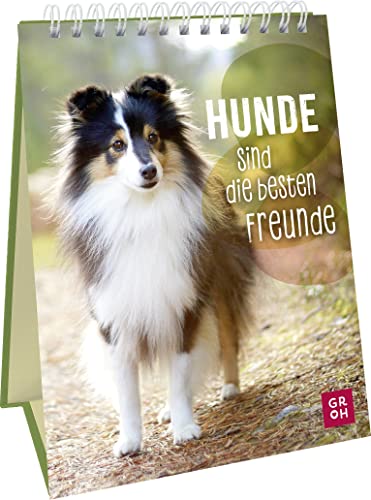 Geburtstag Hundefreund – Die 15 besten Produkte im Vergleich - HundeINFOPortal