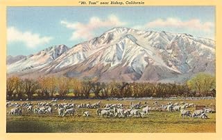 Found Image Press - Mount Tom, Bishop - Vintage Image