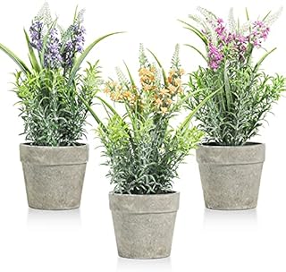 T4U Artificial Lavender Plant in Pot 3 Pack, Artificial Plants Indoor, Small Fake Plants Potted for Home Decor, Faux Lavender Flowers in Grey Pots, Green Bathroom Ornament Desk Decorations