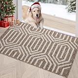 Indoor Doormat 24