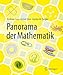 Produktbild Panorama der Mathematik