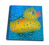 12 x 12 inches spiral bound glossy hard covered 1 inch twin loop wire binding spine 35 unlined pages, 11.4 x 11.2 inches - page thickness is 63lb cover Acid free blank bright white non-coated paper Pages lay flat when book is opened