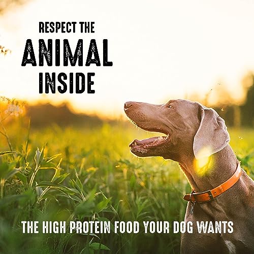 Crave Grain Free High Protein Adult Dry Dog Food With Lamb, 22 Lb. Bag #TOP6