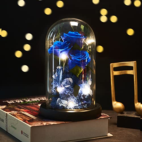 Preserved Rose Gifts For Women, Forever Real Rose In Glass Dome, Romantic Rose Flower Gifts For Mom Best Friend Girlfriend Wife Grandma, Valentine’s Day Mother’s Day Anniversary Birthday Gifts #TOP7